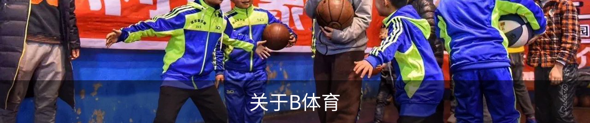 关于B体育